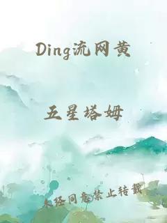 Ding流网黄